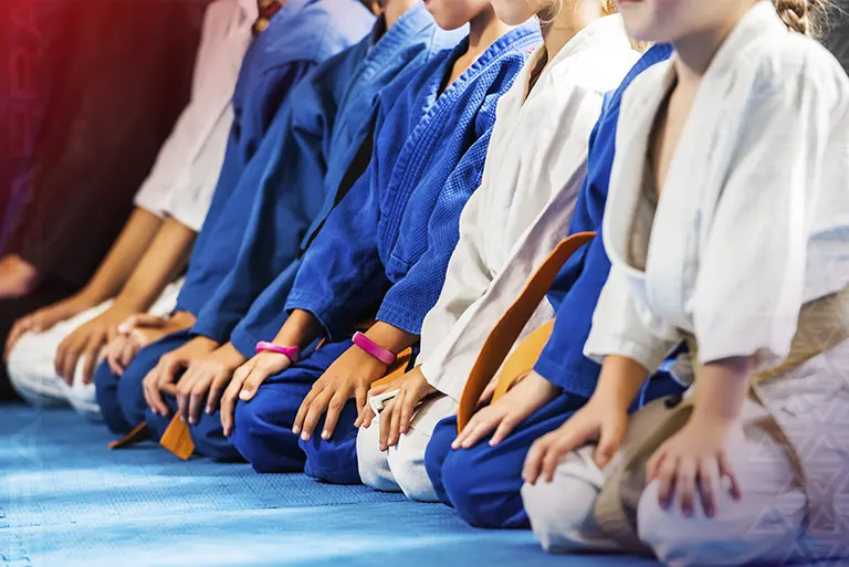 Little Champions Program: Toddler BJJ in Highland Village