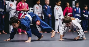 Networking on the Mats: The Professional Community in Gracie Barra Jiu-Jitsu Highland Village